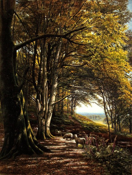 Ovce pasoucí se na lesní mýtině (akvarel a tělová barva na papíře) od Edmund George Warren
