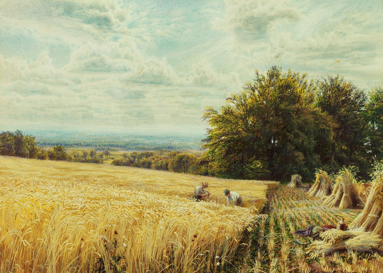 The Harvesters, 1865 od Edmund George Warren