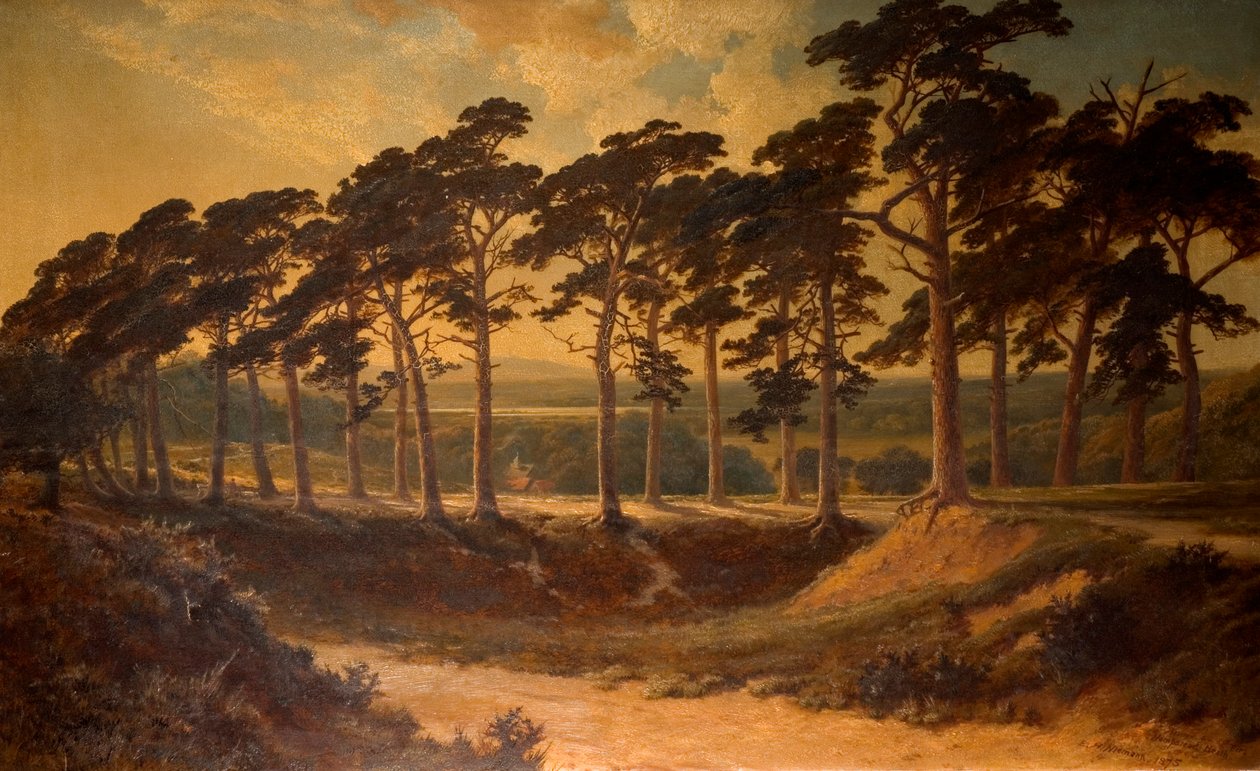 Harrow from the First, Hampstead Heath, 1875 od Edmund John Niemann