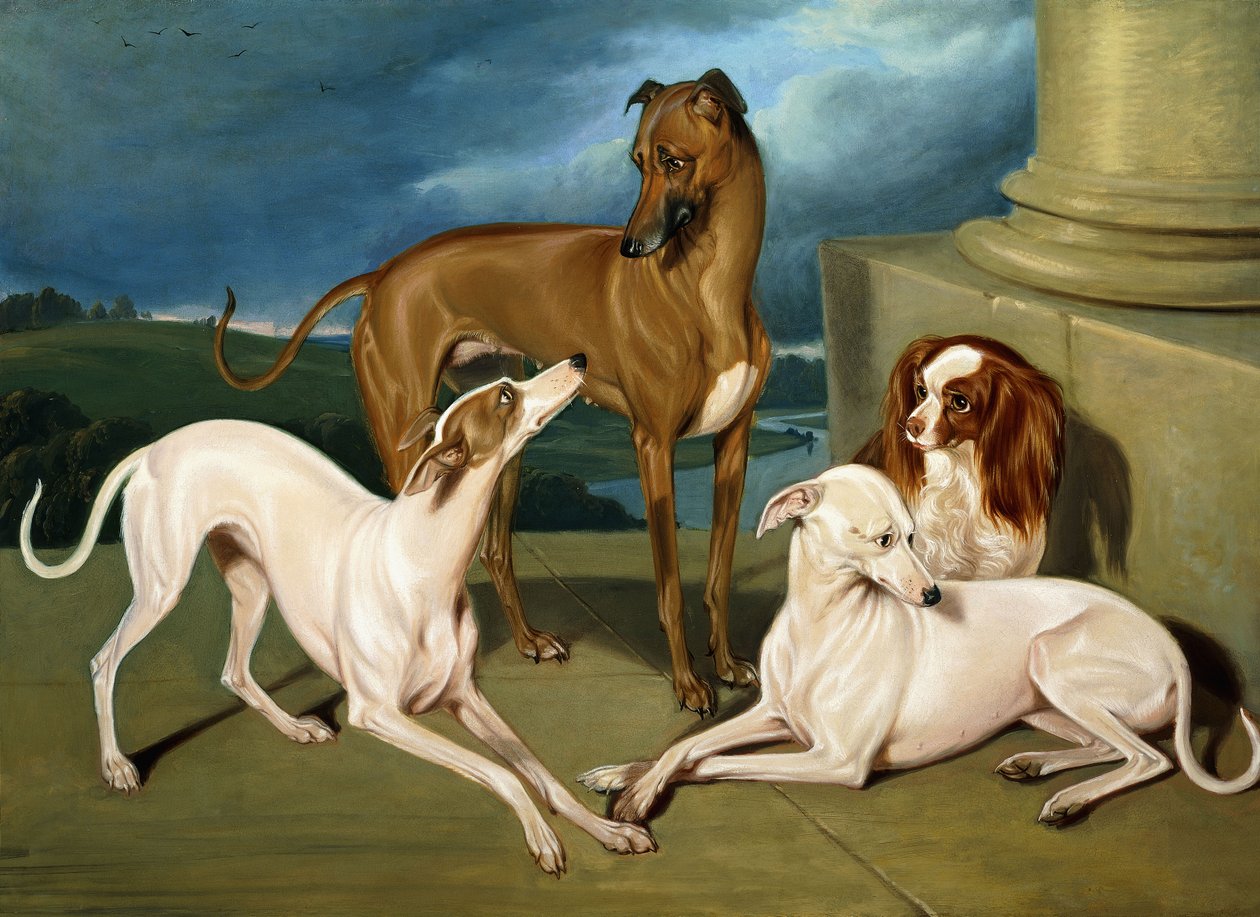 Ohaři a královský španěl, 1837 od Edmund Jr Havell