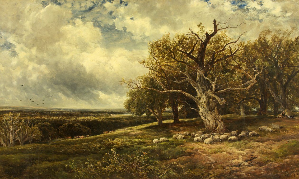 Krajina - Přes údolí od Edmund Morison Wimperis