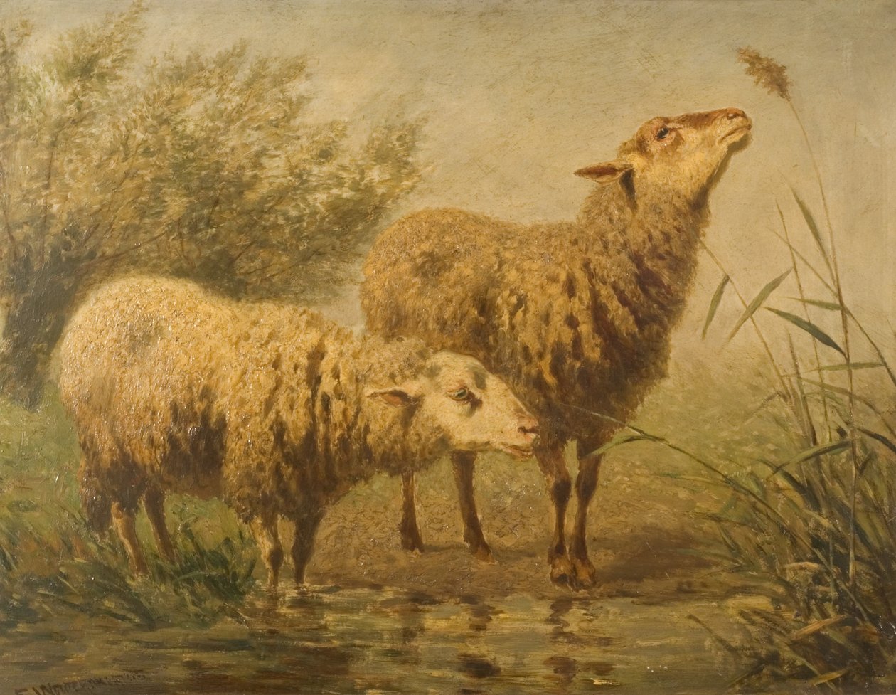 Studium ovcí od Edouard Woutermaertens