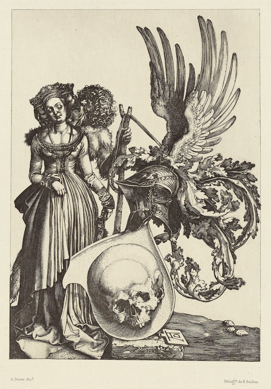 [Erb s lebkou, Albrecht Dürer] od Édouard Baldus