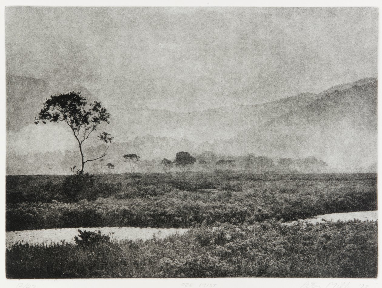 Oze Mist, 1993 od Edouard Cremieux