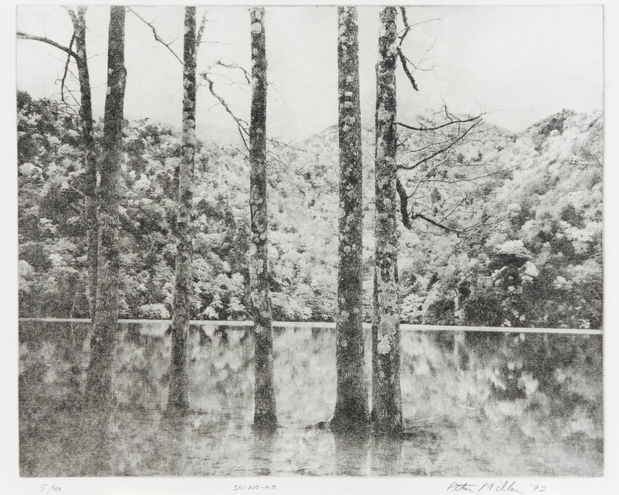 Toki-Noko, 1992 od Edouard Cremieux