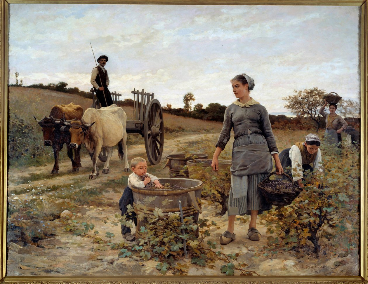 Roh vinné révy v Languedocu Malba Edouarda Debata Ponsana (1847-1913) 1886 Sun. 2,02x2,6 m Nantes, Musee des Beaux Arts od Edouard Debat Ponsan