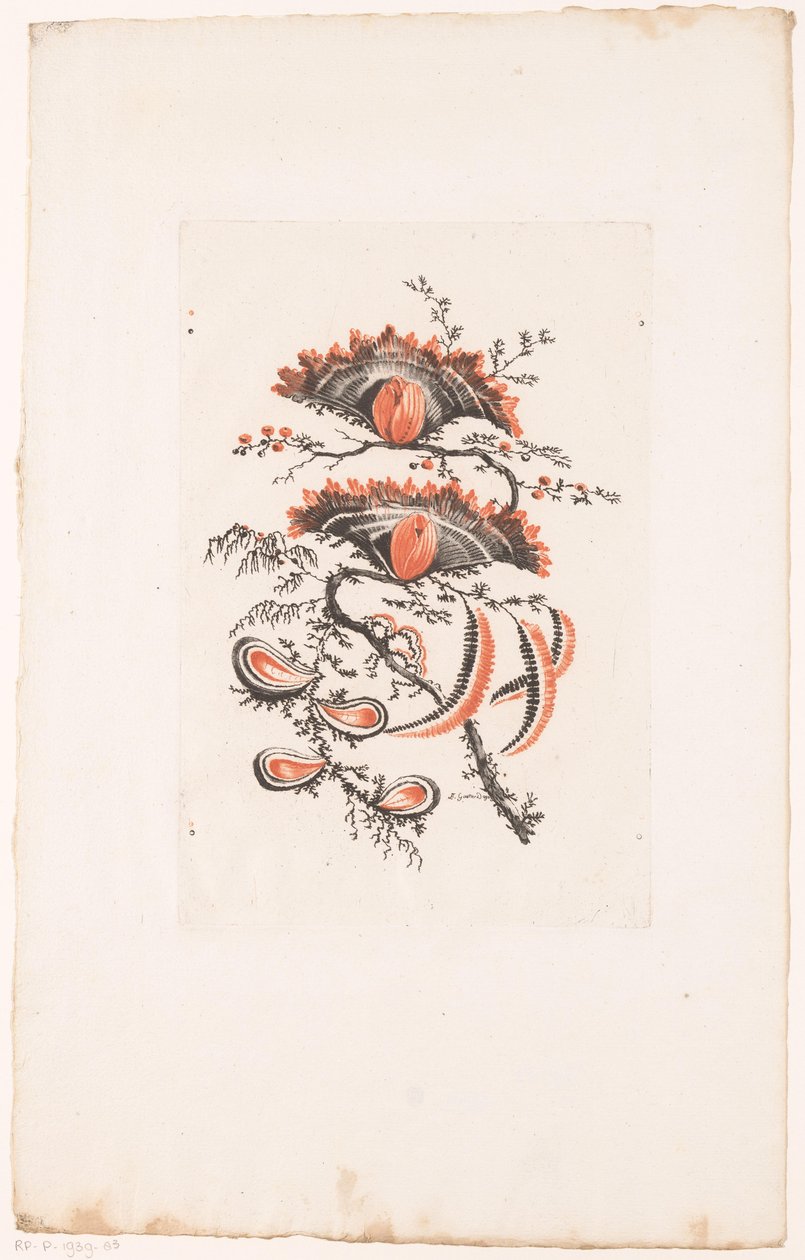 Vějířovité květy Fleurs Idealle (název série) od Edouard Gautier Dagoty