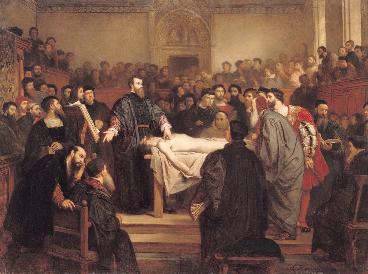 Andreas Vesalius (1514-64) v Padově, 1859 od Edouard Jean Conrad Hamman