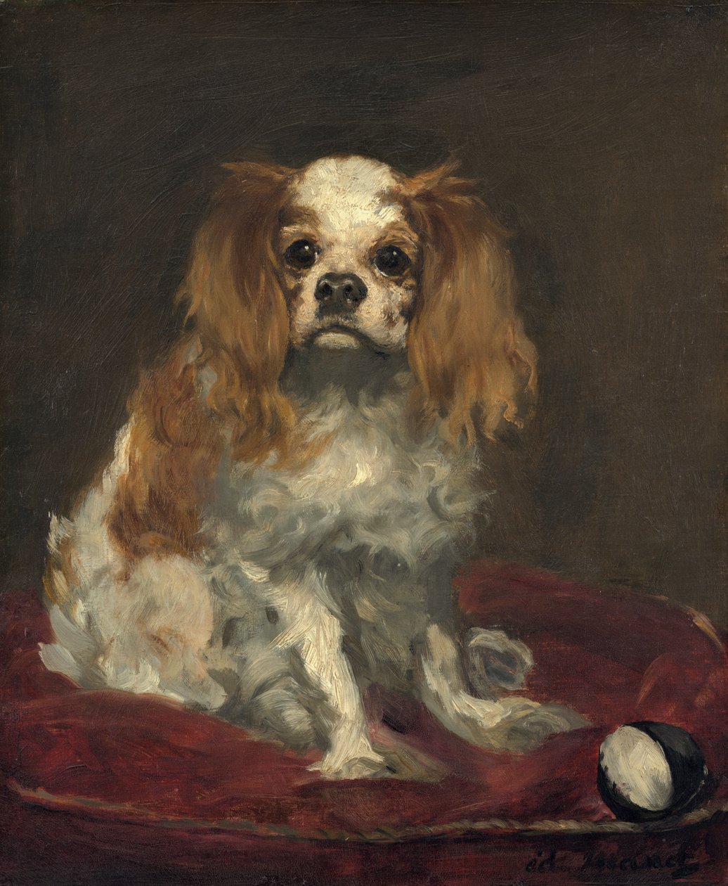 King Charles Spaniel, kolem roku 1866 (olej na plátně) od Édouard Manet