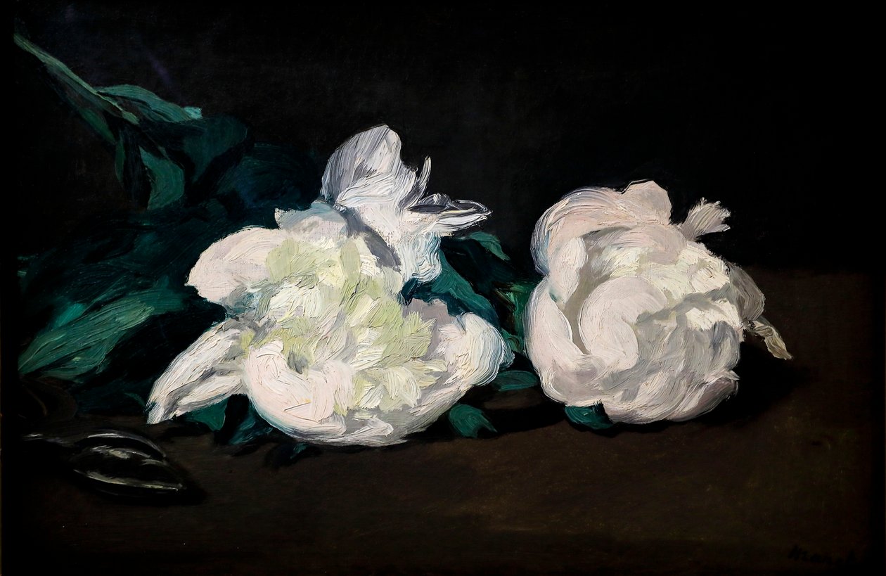 Větev bílé pivoňky a zahradnické nůžky od Édouard Manet