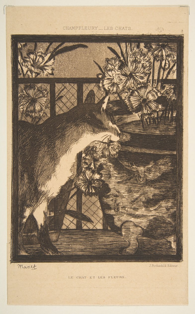 Kočka a květiny. Ilustrace ke Kočkám od Champfleuryho, 1869. od Édouard Manet