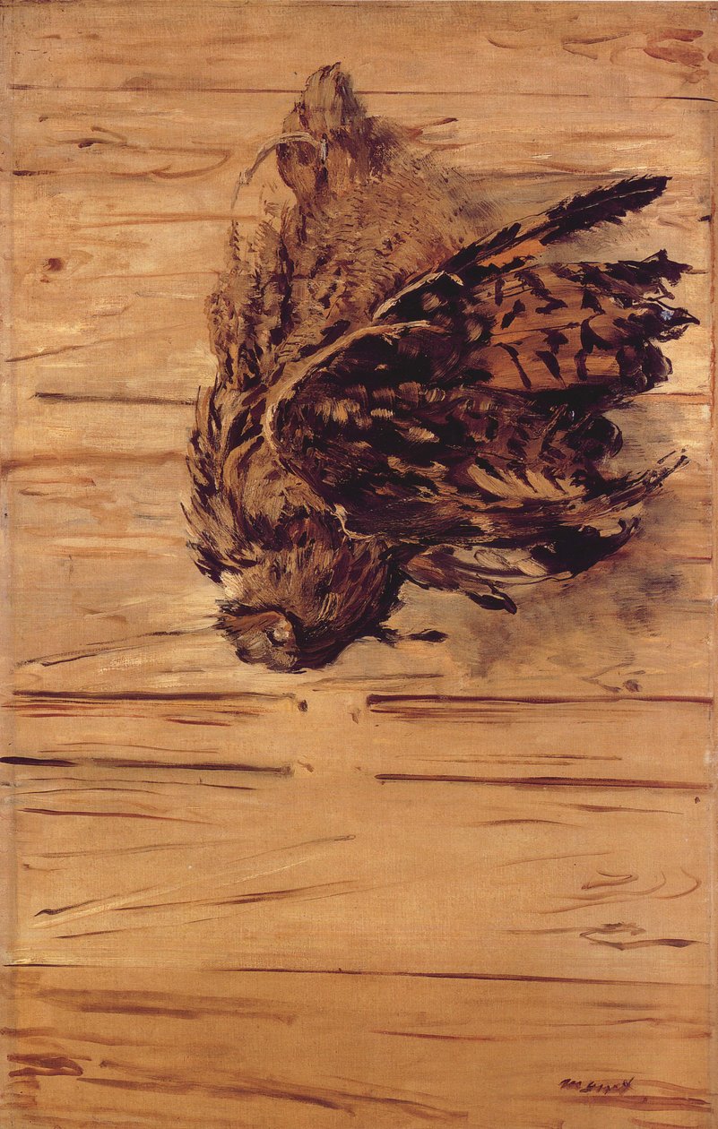 Mrtvý výr od Édouard Manet
