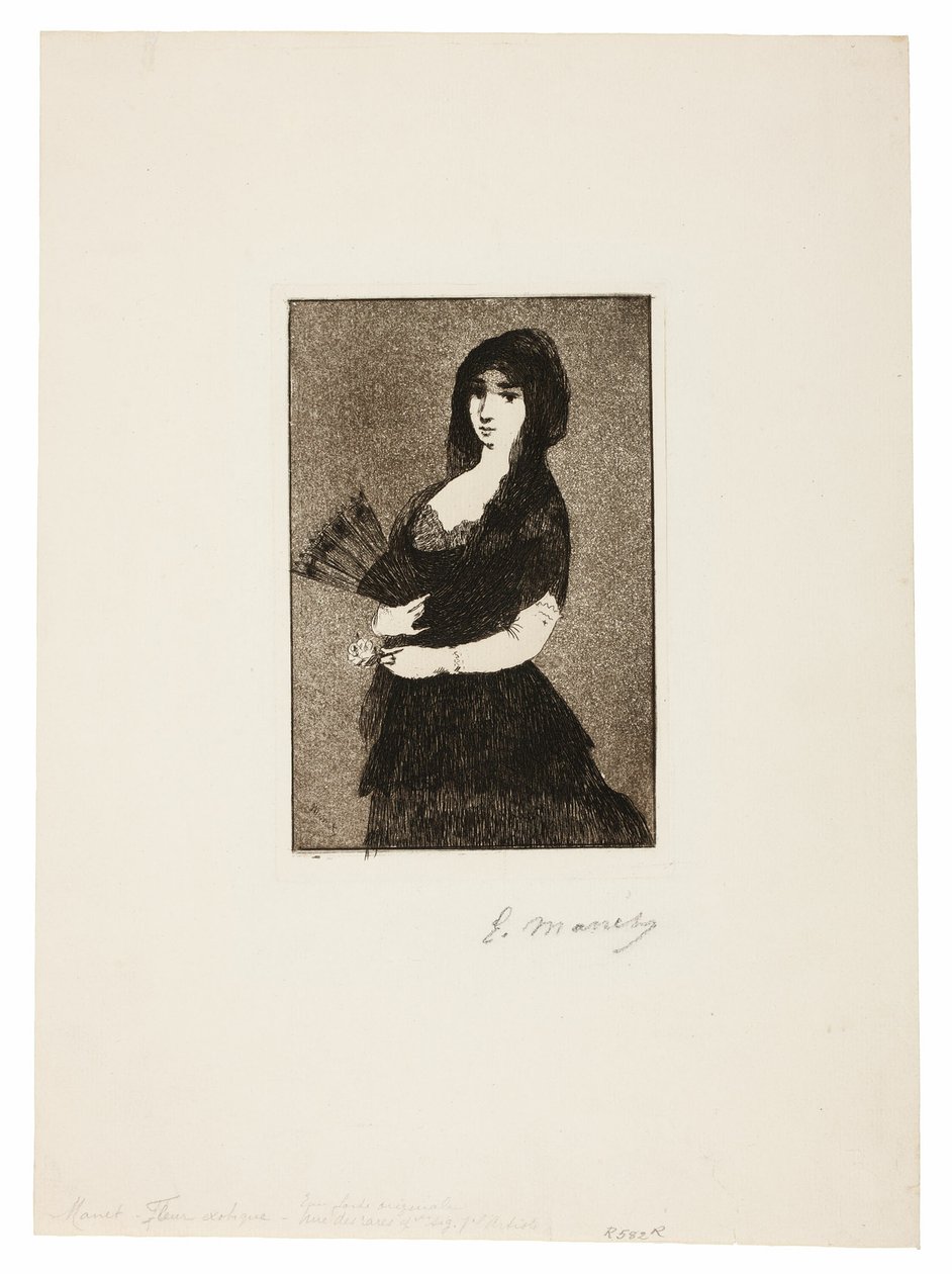 Exotická květina (Žena v mantille) od Édouard Manet