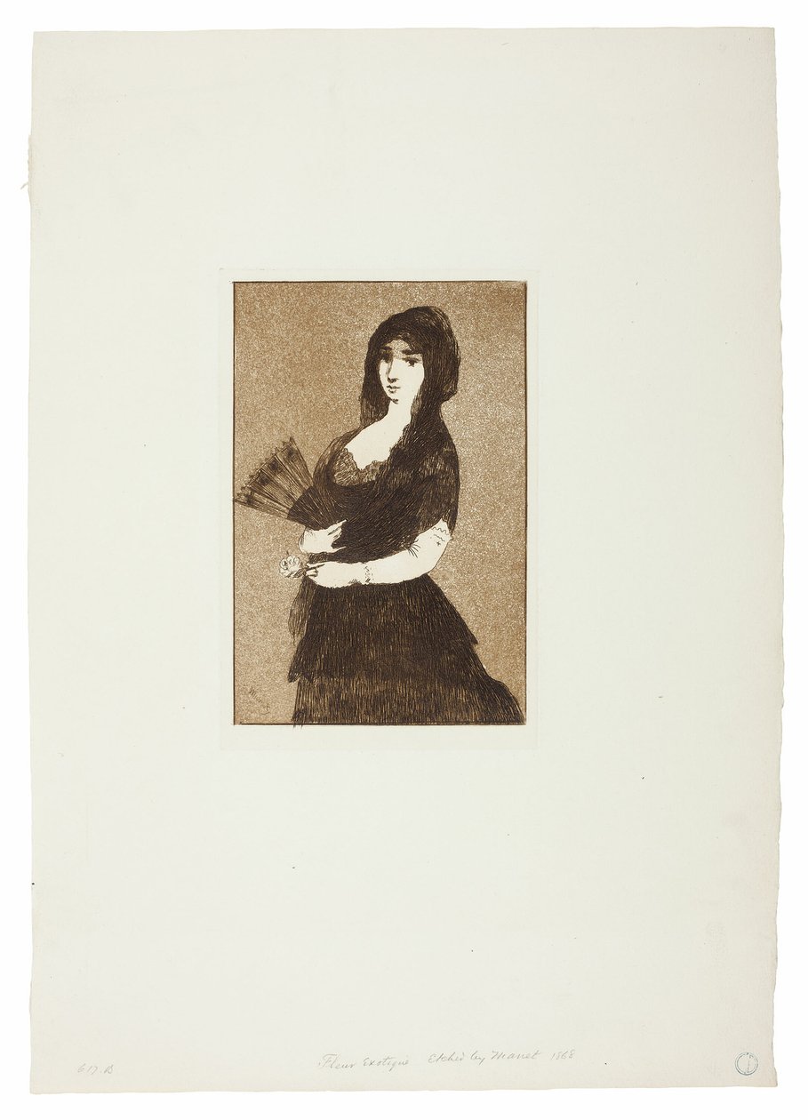 Exotická květina (Žena v mantille) od Édouard Manet