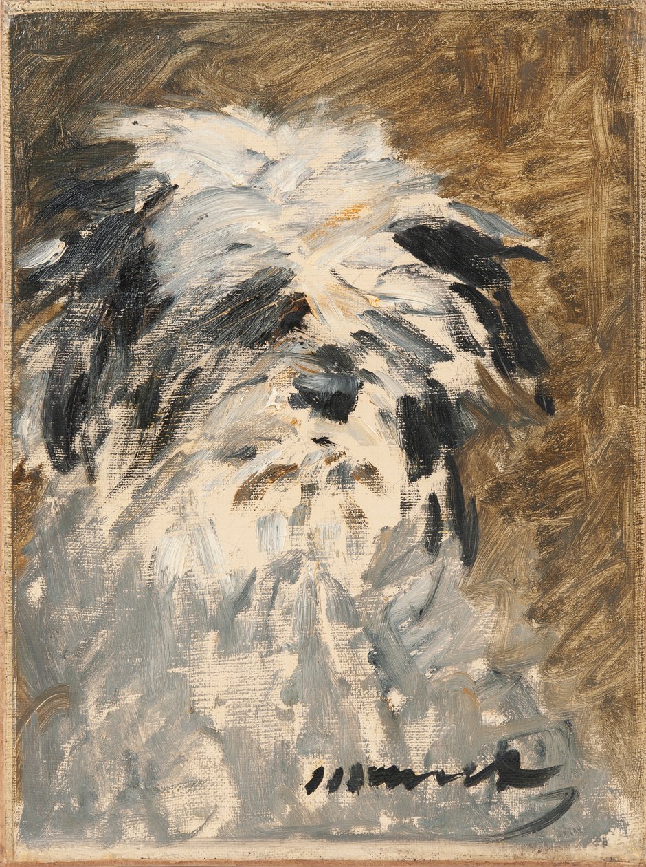 Francouzština:  Minnay Minnay od Édouard Manet