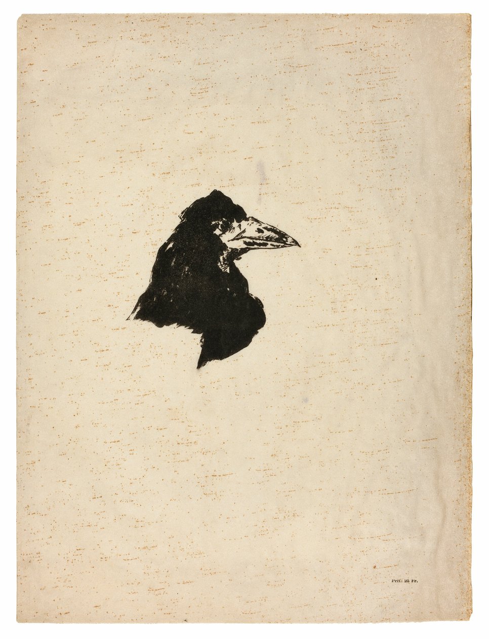 Hlava havrana v profilu, z The Raven (Le Corbeau) od Édouard Manet
