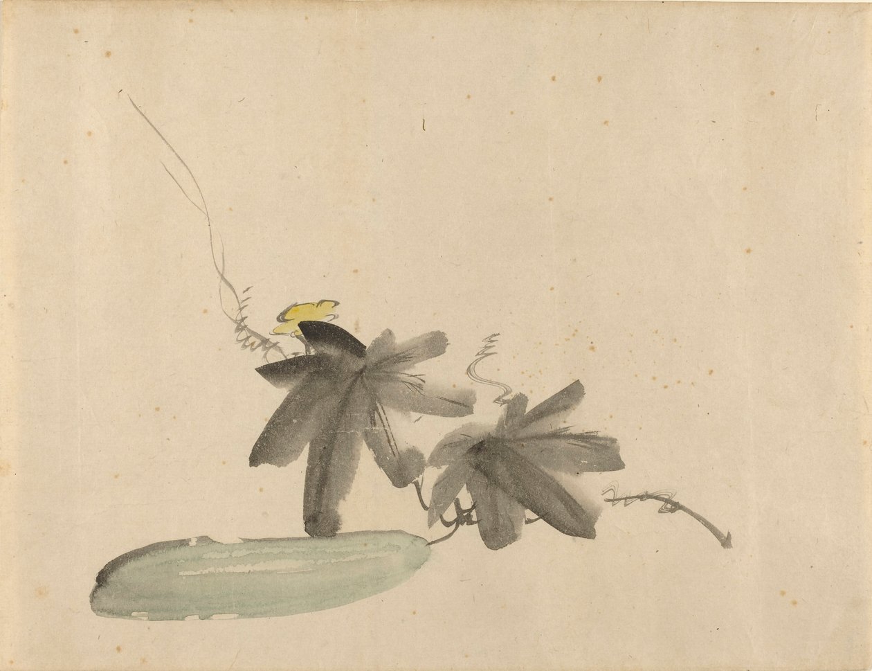 Manet - Okurka s listy, asi 1880 od Édouard Manet