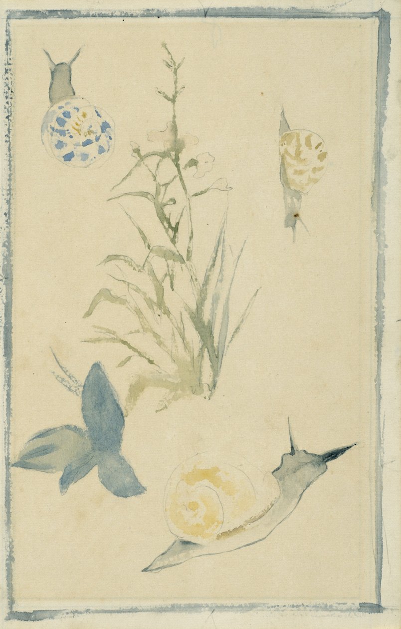 Náčrtky hlemýžďů, kvetoucí rostlina, c.1880 od Édouard Manet