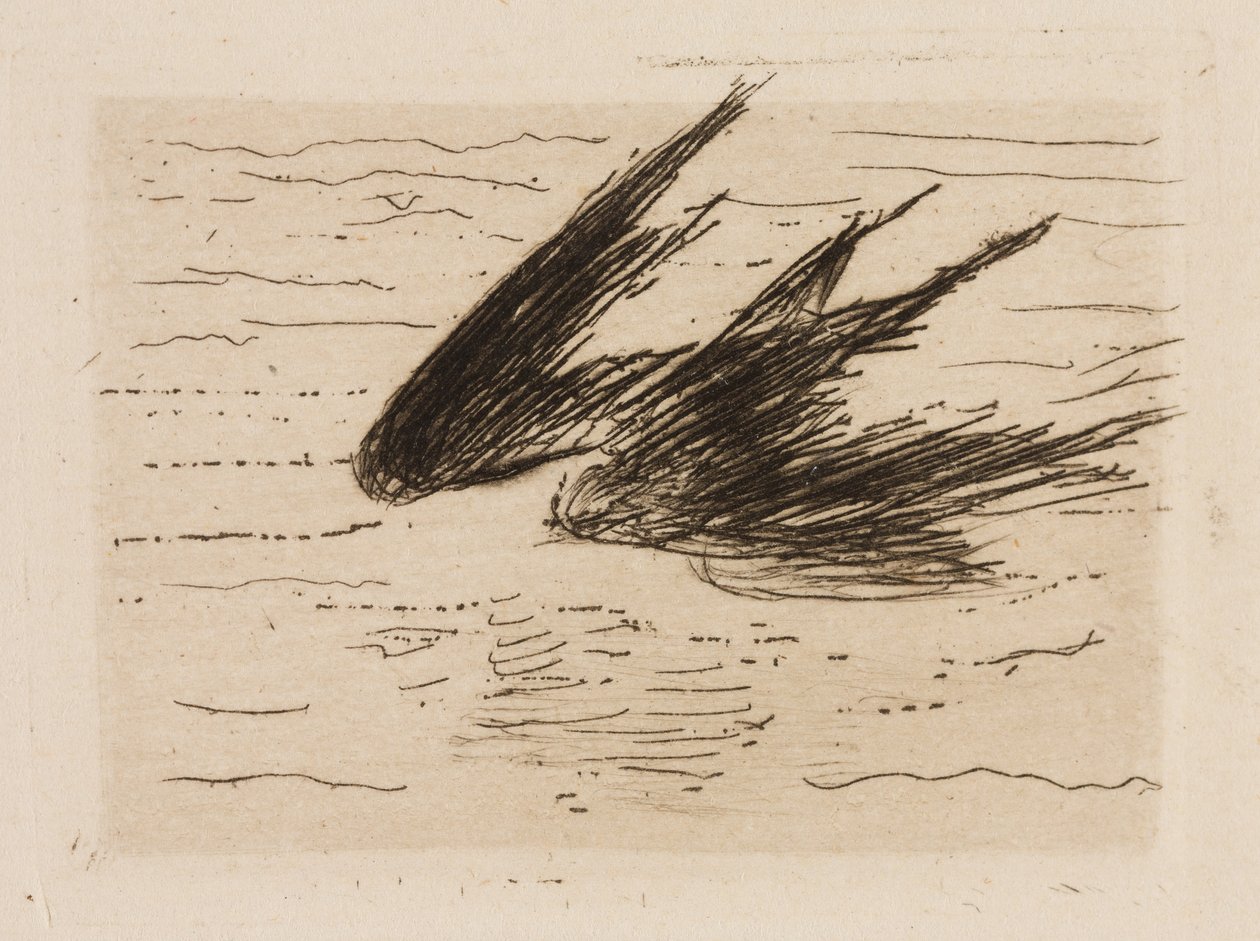 Vlaštovky, talíř 8 z knihy Le Fleuve od Édouard Manet
