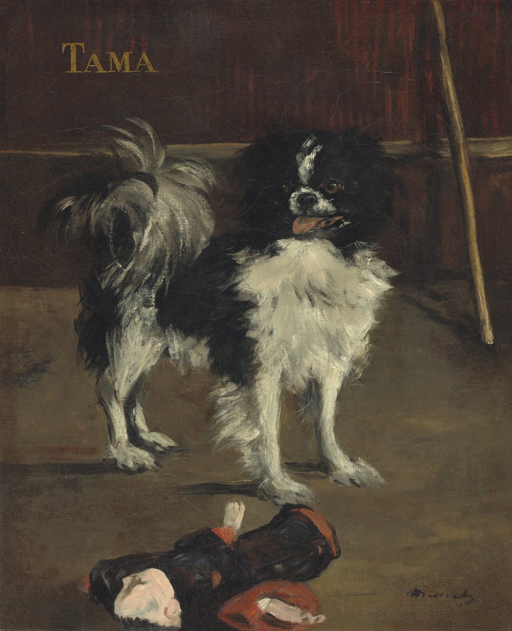 Tama, japonský pes, kolem roku 1875 (olej na plátně) od Édouard Manet