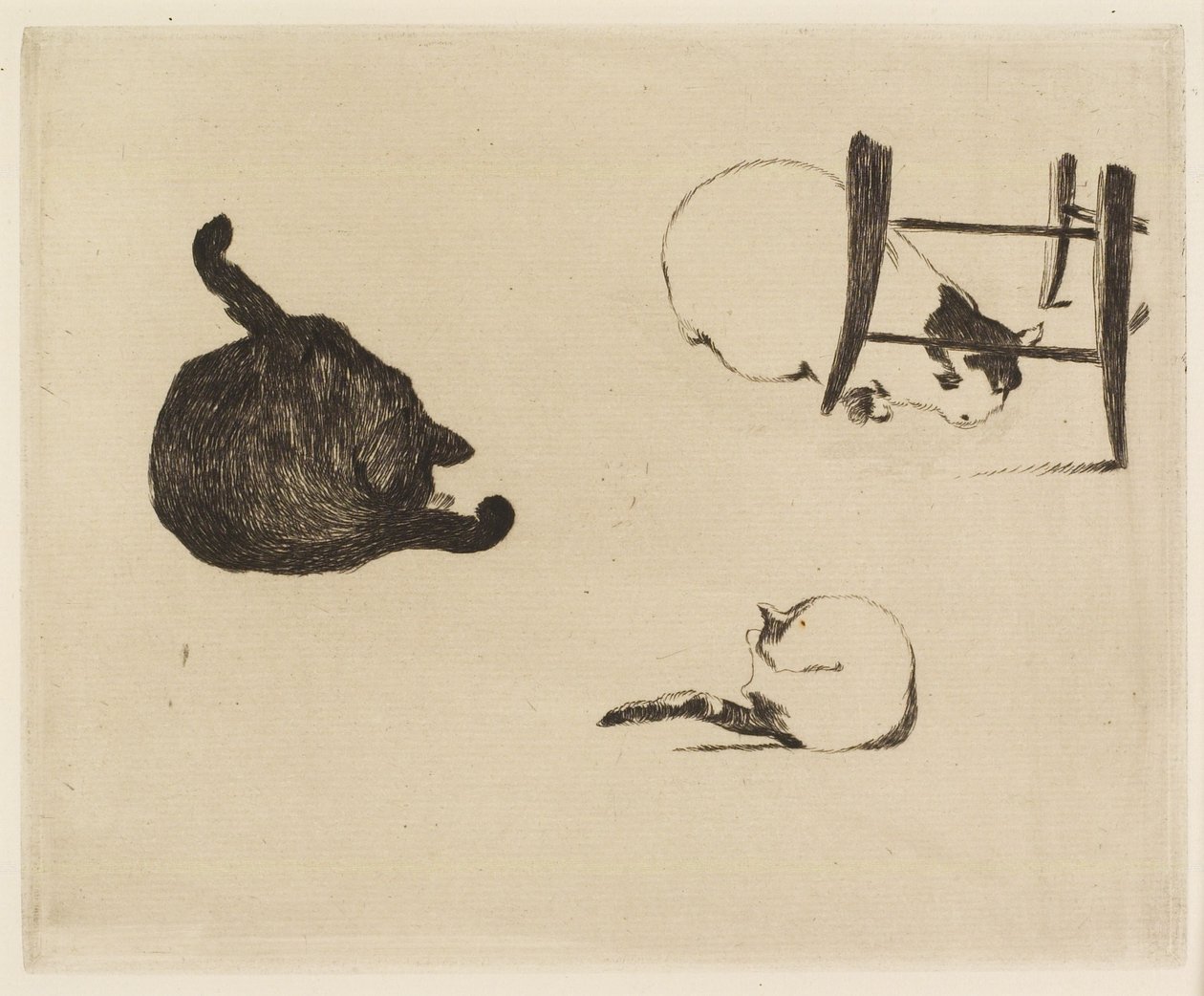 Kočky, 1869 od Édouard Manet