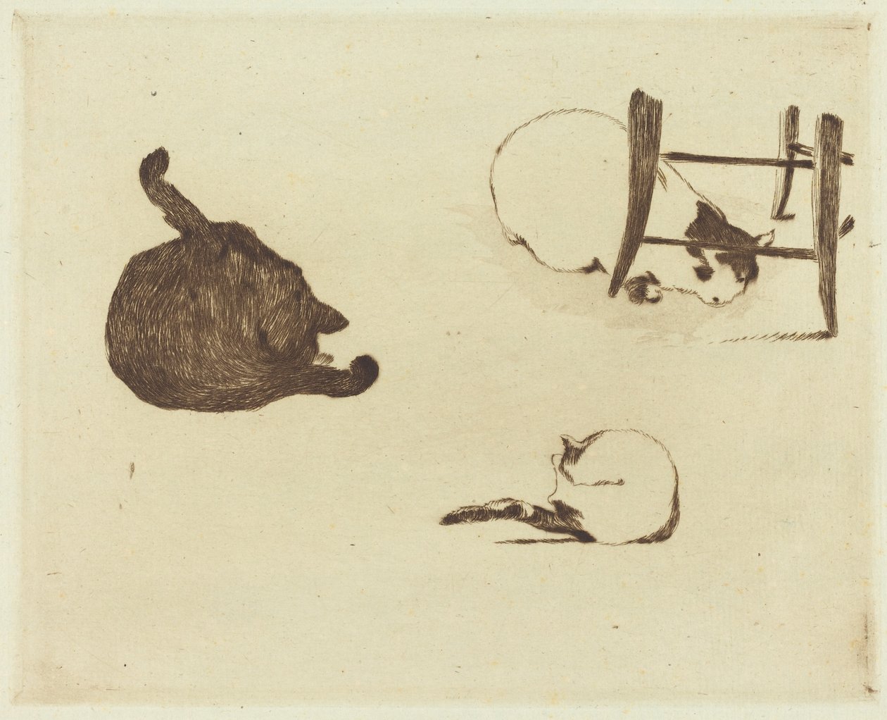 The Cats Les chats, 1869. od Édouard Manet