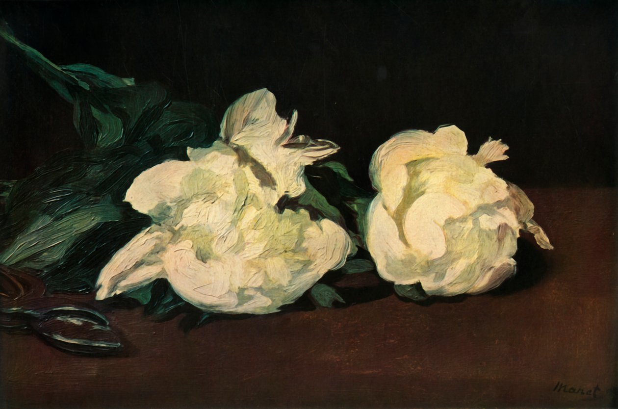 Bílé pivoňky, 1864, 1937. od Édouard Manet