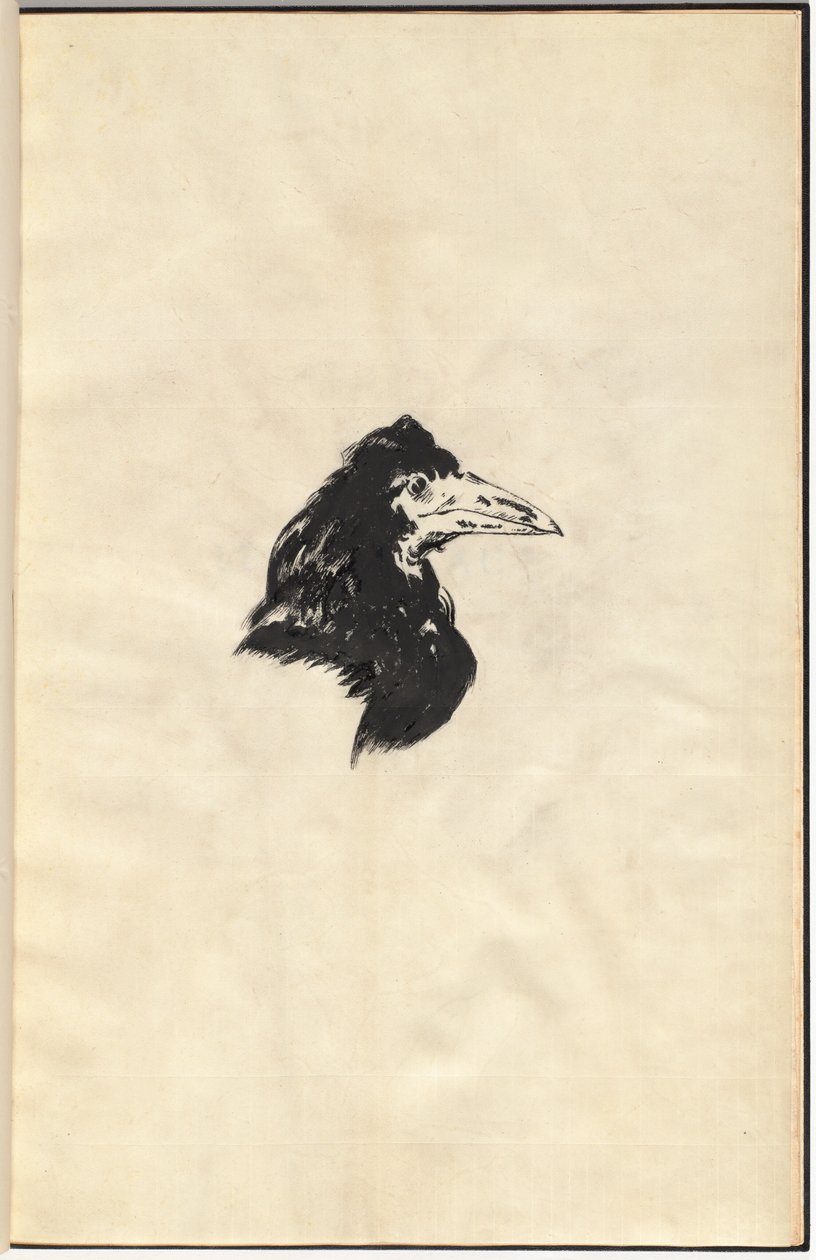 Havran: Havran od Edouard Manet, Edgar Allan Poe