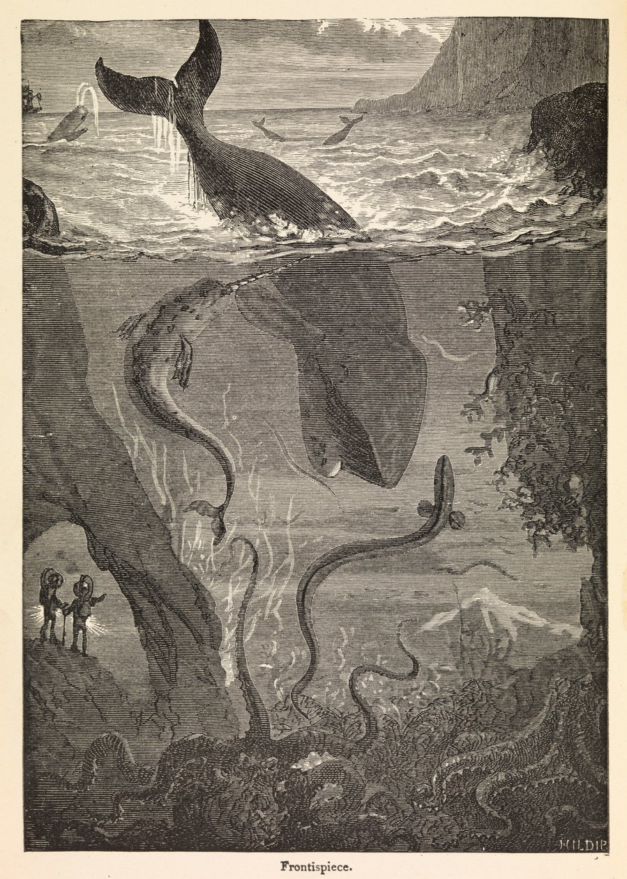 Frontispis knihy Julese Verna "Dvacet tisíc mil pod mořem", cca 1870 (tisk) od Edouard & Neuville Alphonse Marie Adolphe de (1835 85) Riou