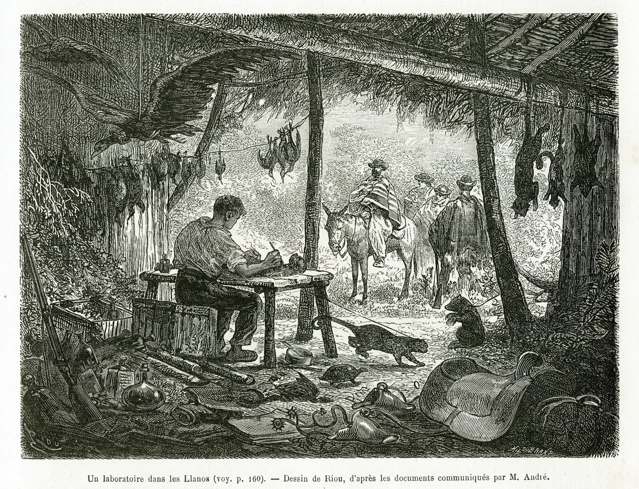 Závěsný od Edouard Riou