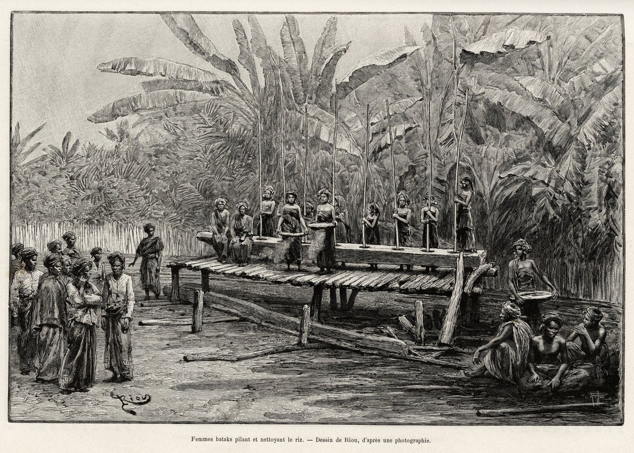 Batakové ženy, etnická skupina severní Sumatry, buší a čistí rýži. Rytina od Riou pro ilustraci příběhu „Rok v Malajsii“, od Julese Clainea (1856-1939) od Edouard Riou