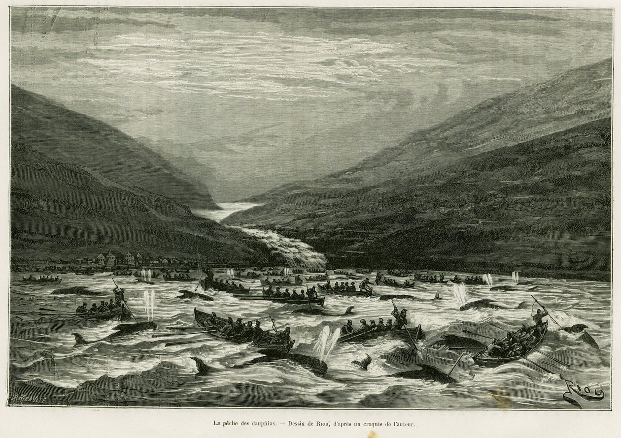 Lov delfínů. Rytina Riou pro ilustraci příběhu Měsíc na souostroví Faerské ostrovy (Faerské ostrovy, Faerské ostrovy, Dánsko), H.Labonne, in le tour du monde 1887, režie Edouard Charton (1807-1890), Hachette, Paříž. od Edouard Riou