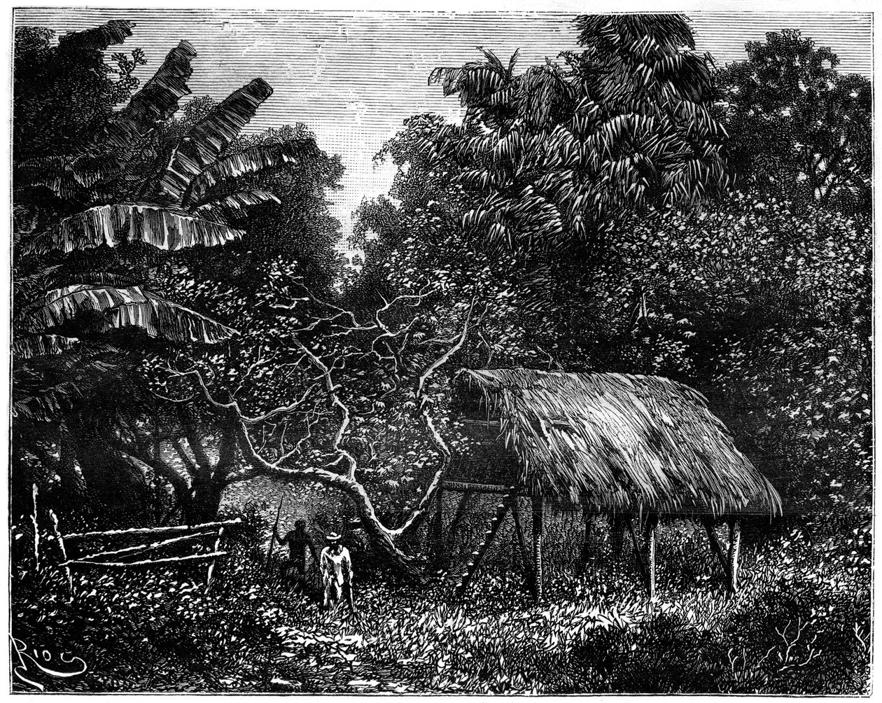 Guyana, Jižní Amerika, 19. století od Edouard Riou