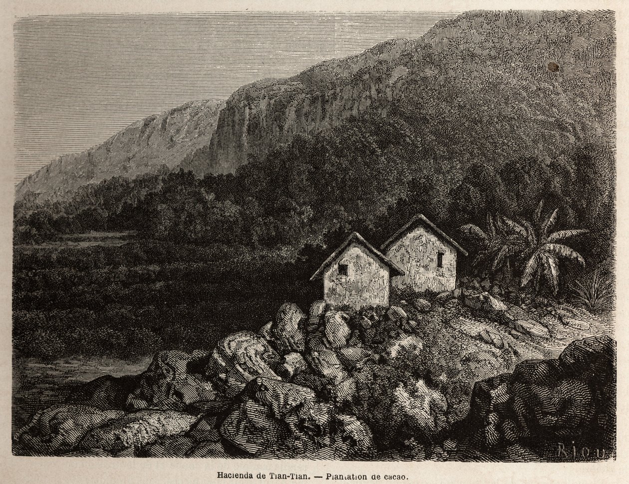 Hacienda od Tian Tian, Peru a kakaová plantáž, kresba Riou, k ilustraci cesty Paula Marcoye Jižní Amerikou v letech 1848 až 1860. Rytina „“Le tour du monde““, editoval Edouard Charton od Edouard Riou