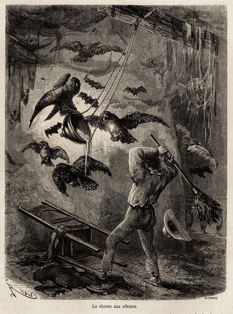 Závěsný od Edouard Riou