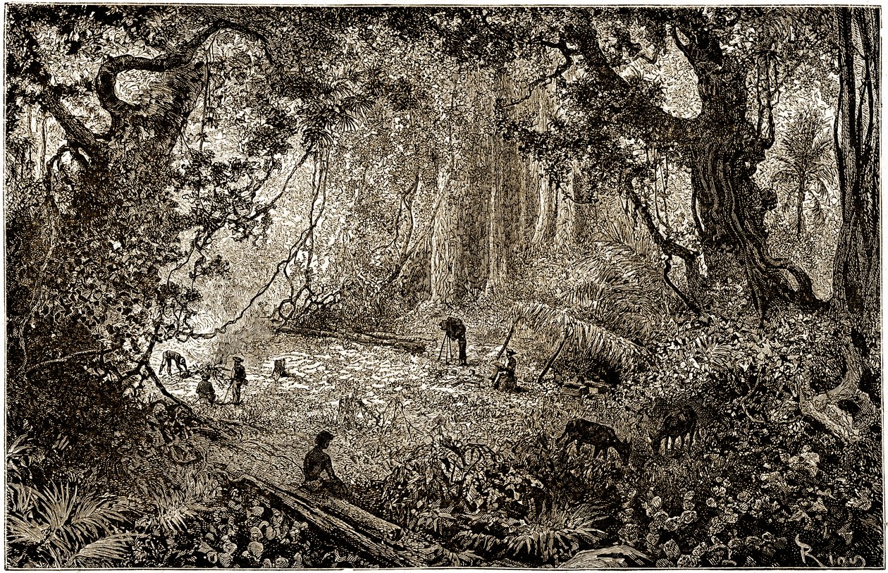 Instalace tábora průzkumníků v Guatemale (1882) od Edouard Riou
