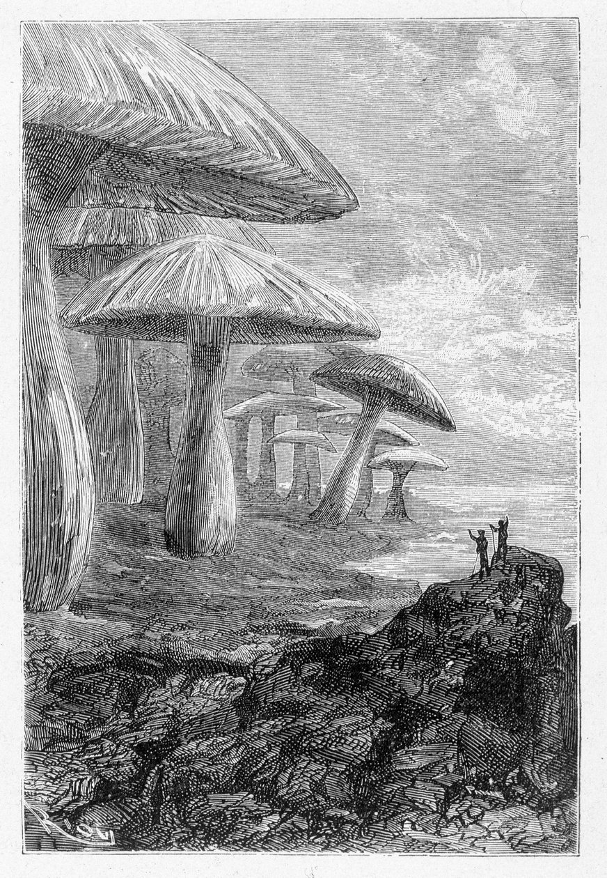 Je to jen les hub, říká, kreslil Riou v „“Voyages Extraordinary”” od Julese Verna, ed. Hetzel, n. d. 19. od Edouard Riou
