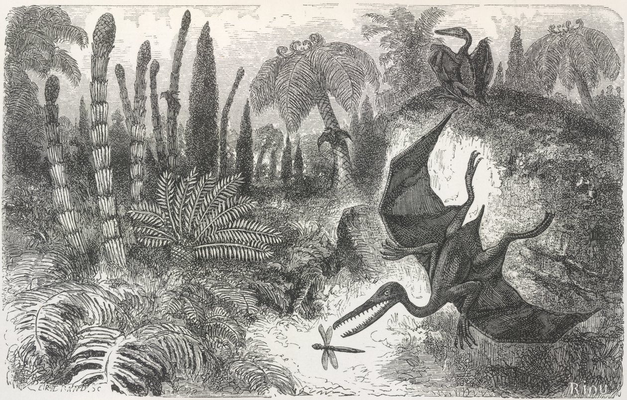 „Krajina období Liasic“. Ilustrace zobrazující pterodaktyla od Edouard Riou