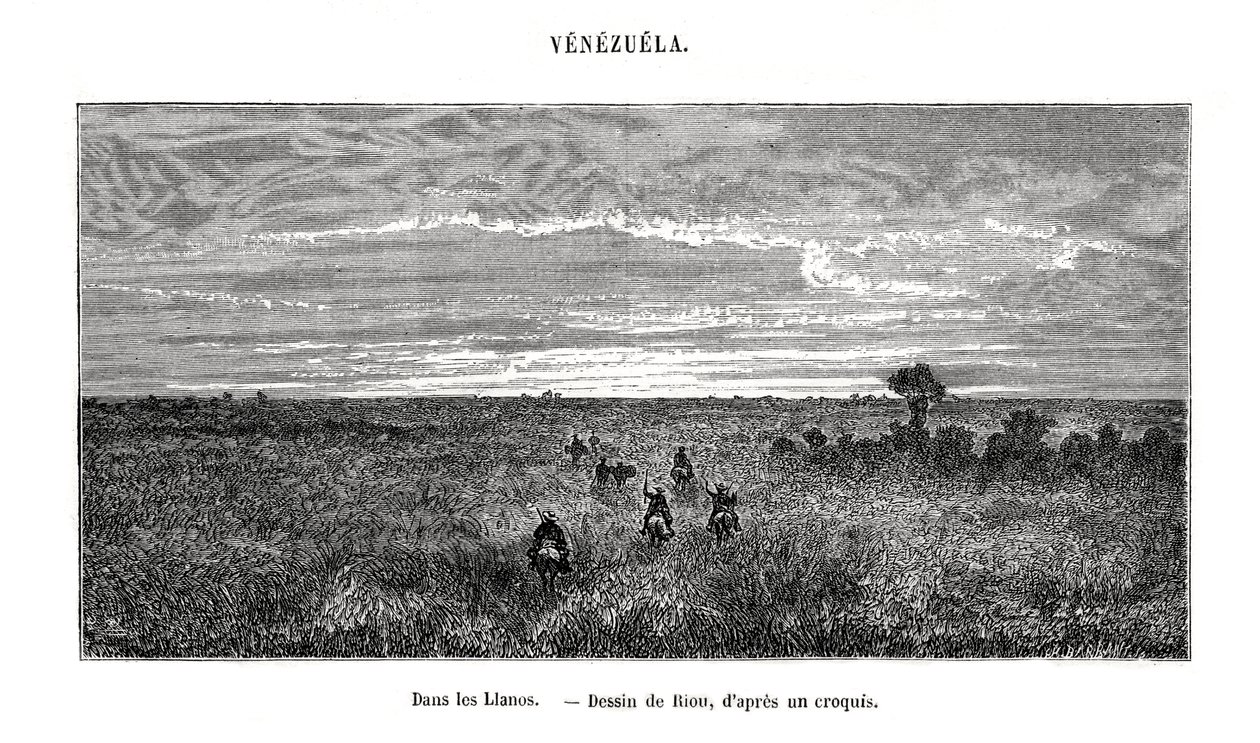 Los Llanos, Venezuela, 19. století od Edouard Riou