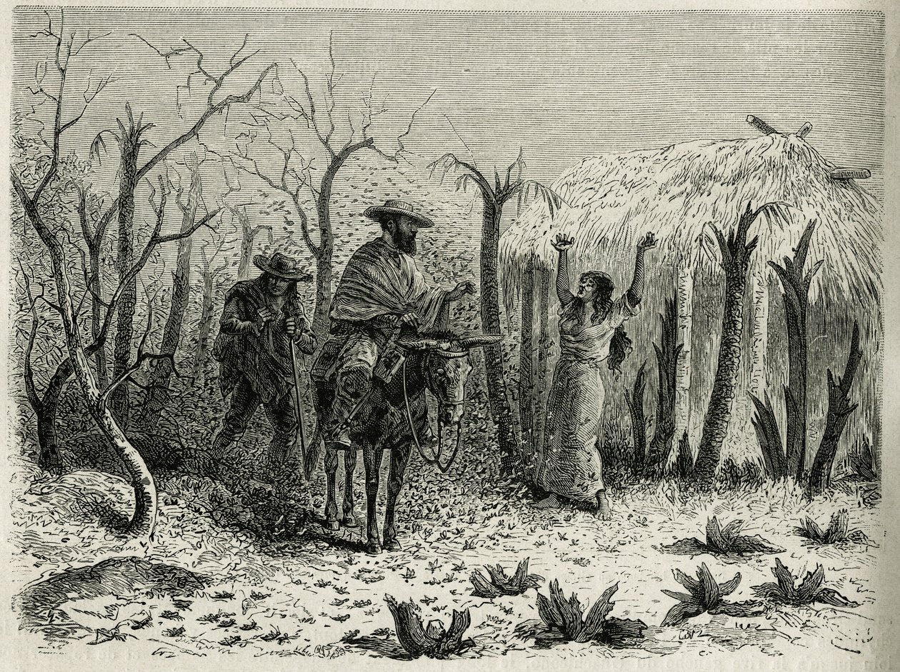 The Clouds of Grasshoppers of the Vallee du Upper Patia, s vypravěčem plavby na jeho mule, rytina Riou, pro ilustraci příběhu L
