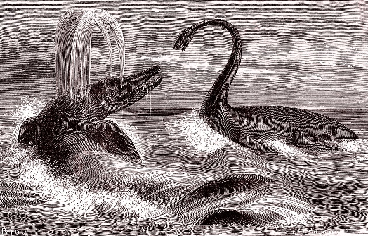Ichtyosaurus a Plesiosaurus od Edouard Riou