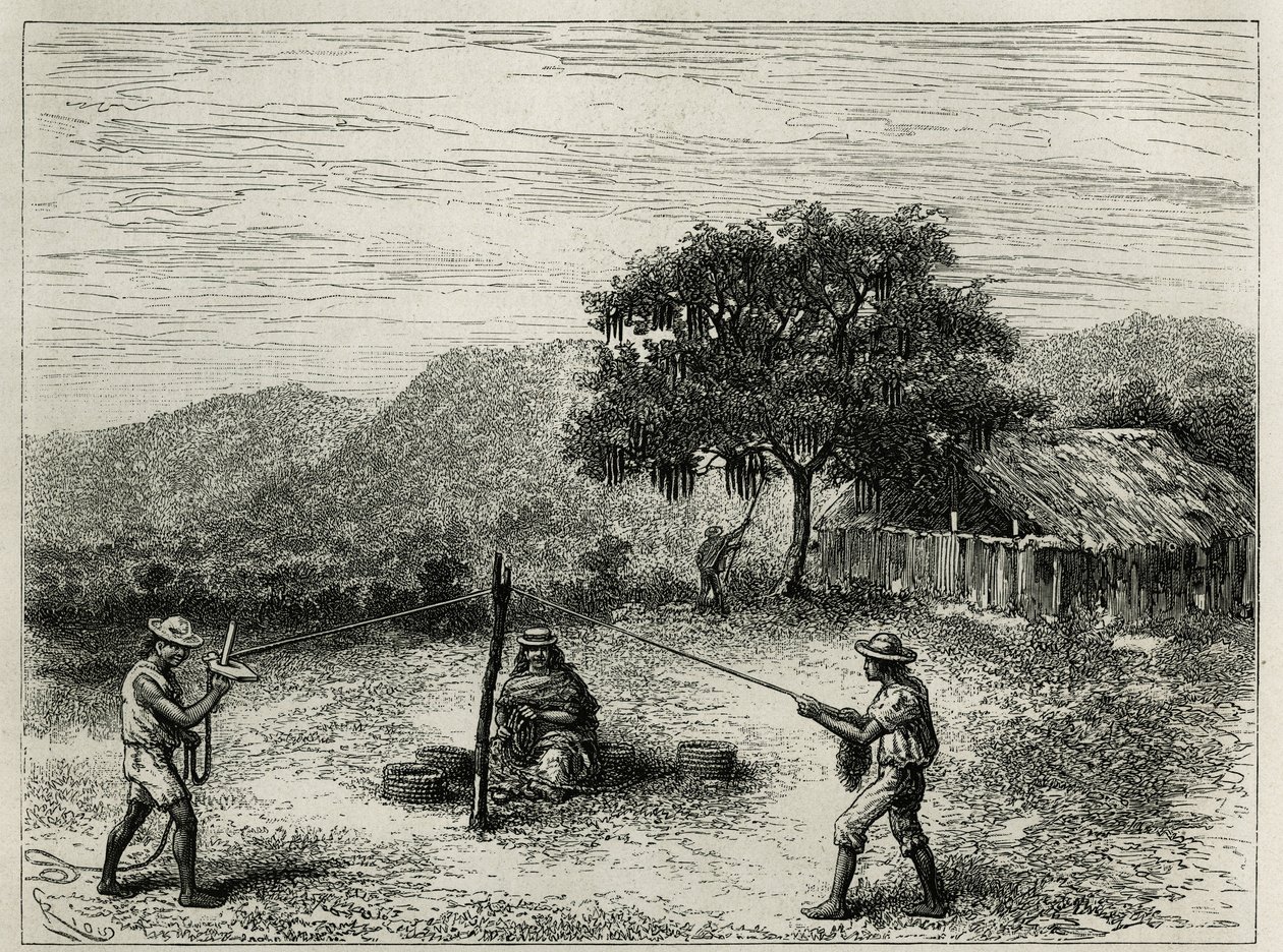 Výroba cabuya, řetězec Fourcroya, poblíž Cartago (Kolumbie), rytina Riou, pro ilustraci příběhu Equinoxiale America od E. Andreho, pověření francouzskou vládou, zveřejněné v tour du monde, pod vedením E od Edouard Riou
