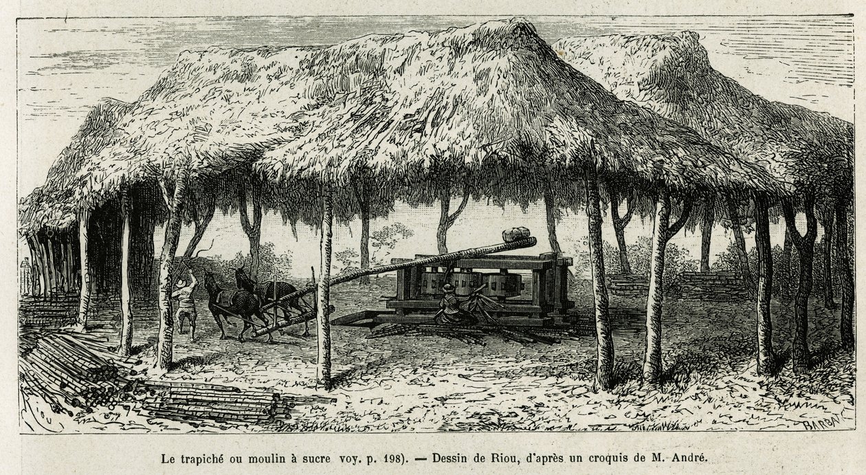 Trapiche, neboli mlýn na mletí třtiny v Panche (Kolumbie), kresba Riou, pro ilustraci příběhu Equinoxiale America (Kolumbie, Ekvádor, Peru), v letech 1875-1876, Ed. andre, pověření cestovní mise francouzské vlády. Rytina v Le t od Edouard Riou
