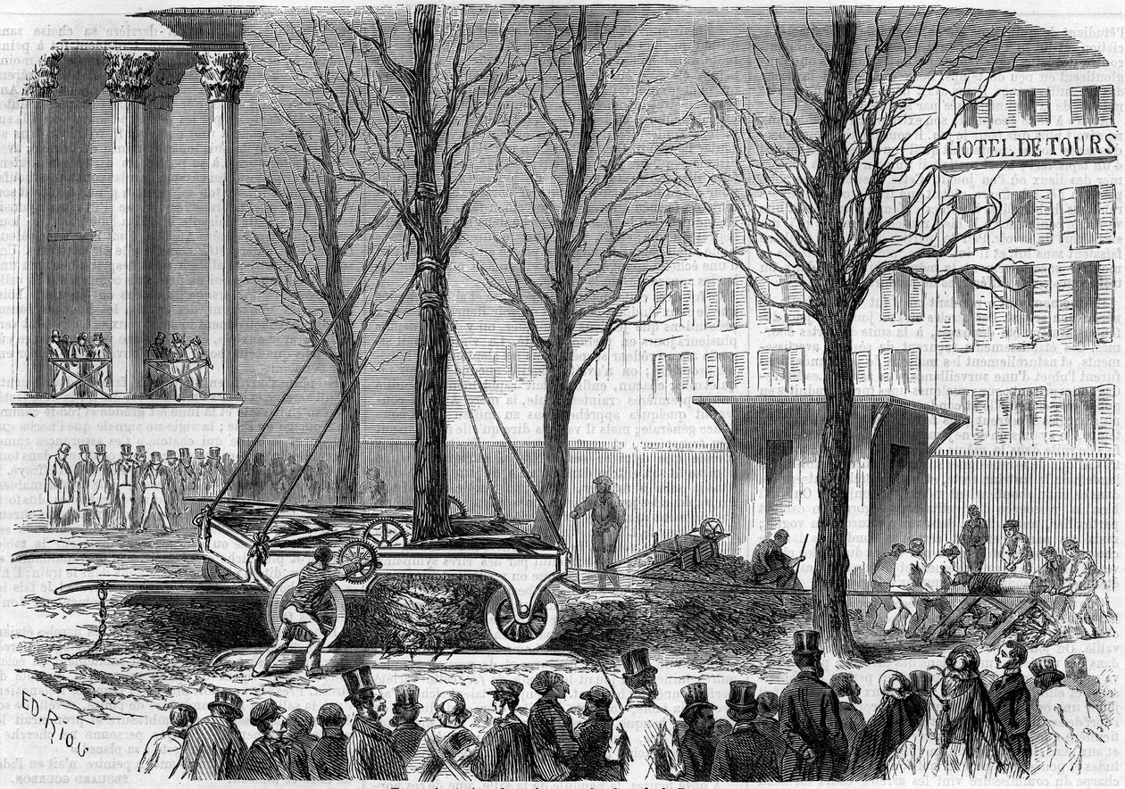Transplantace stromů na Place de la Bourse v Paříži během zimy 1858. Rytina Riou v „“ Le Monde Illustré““ č. 46 z 27. února 1858. od Edouard Riou