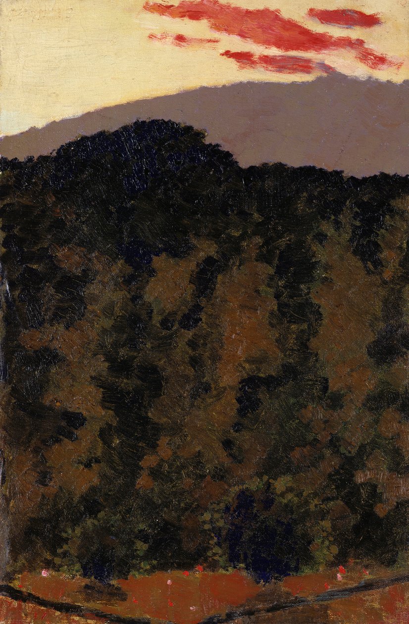 Krajina, kolem roku 1900 od Edouard Vuillard
