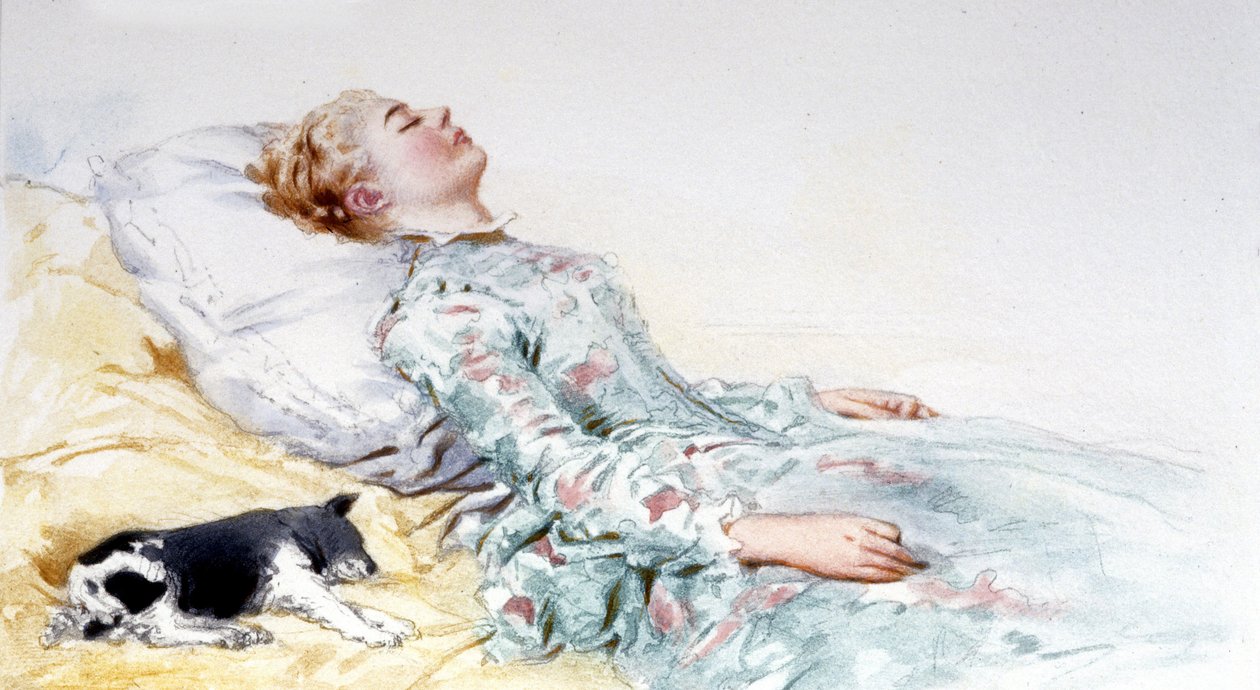 Spící kráska. Příběh Charlese Perraulta. Ilustrace Edouard de Beaumont od Edouard de (after) Beaumont