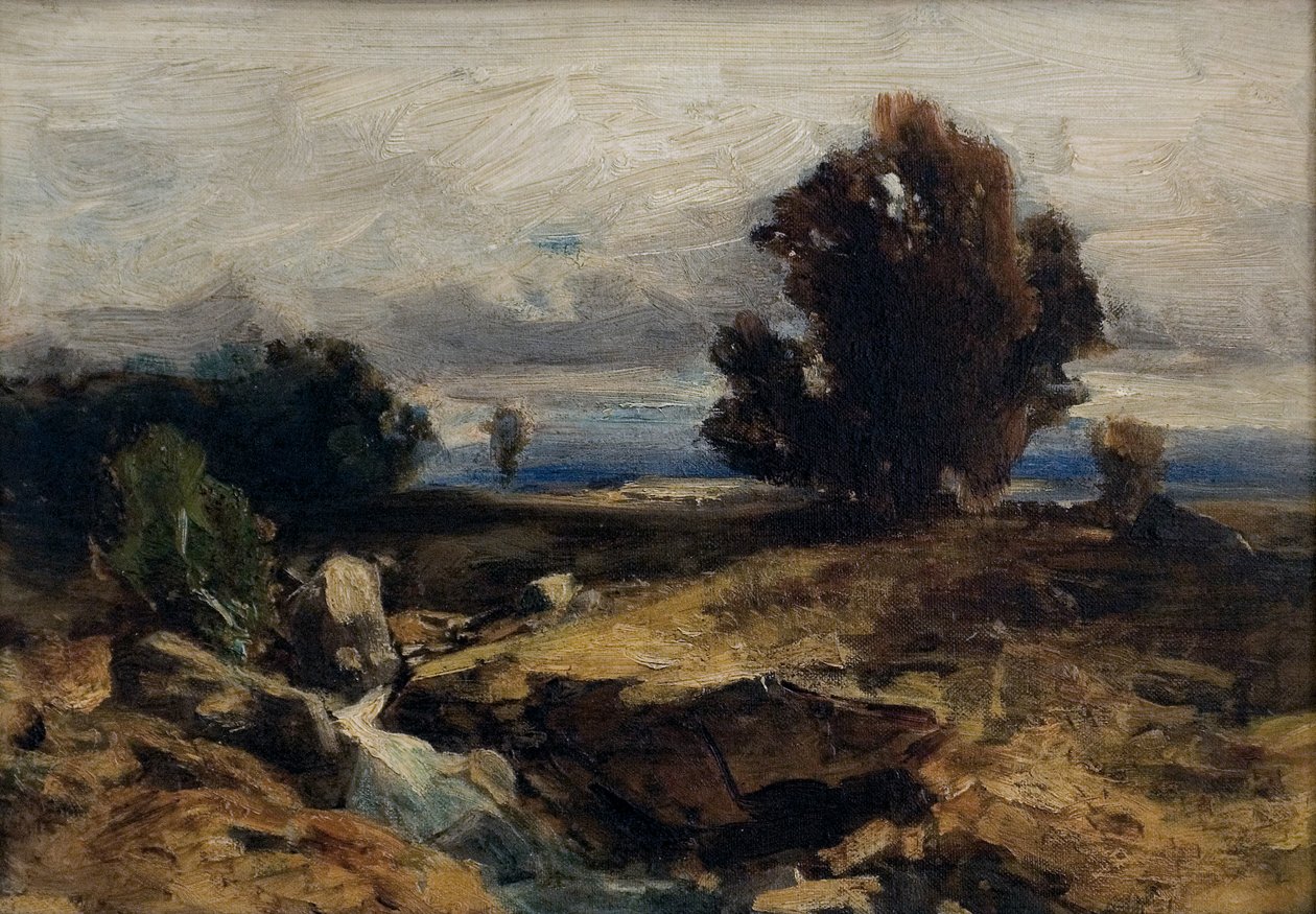 krajinářská studie od Eduard Peithner von Lichtenfels