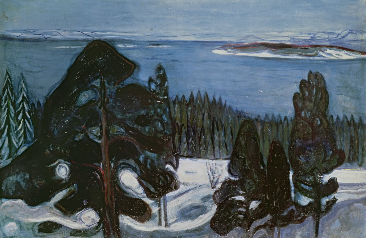 Zimní noc, kolem roku 1900 od Edvard Munch