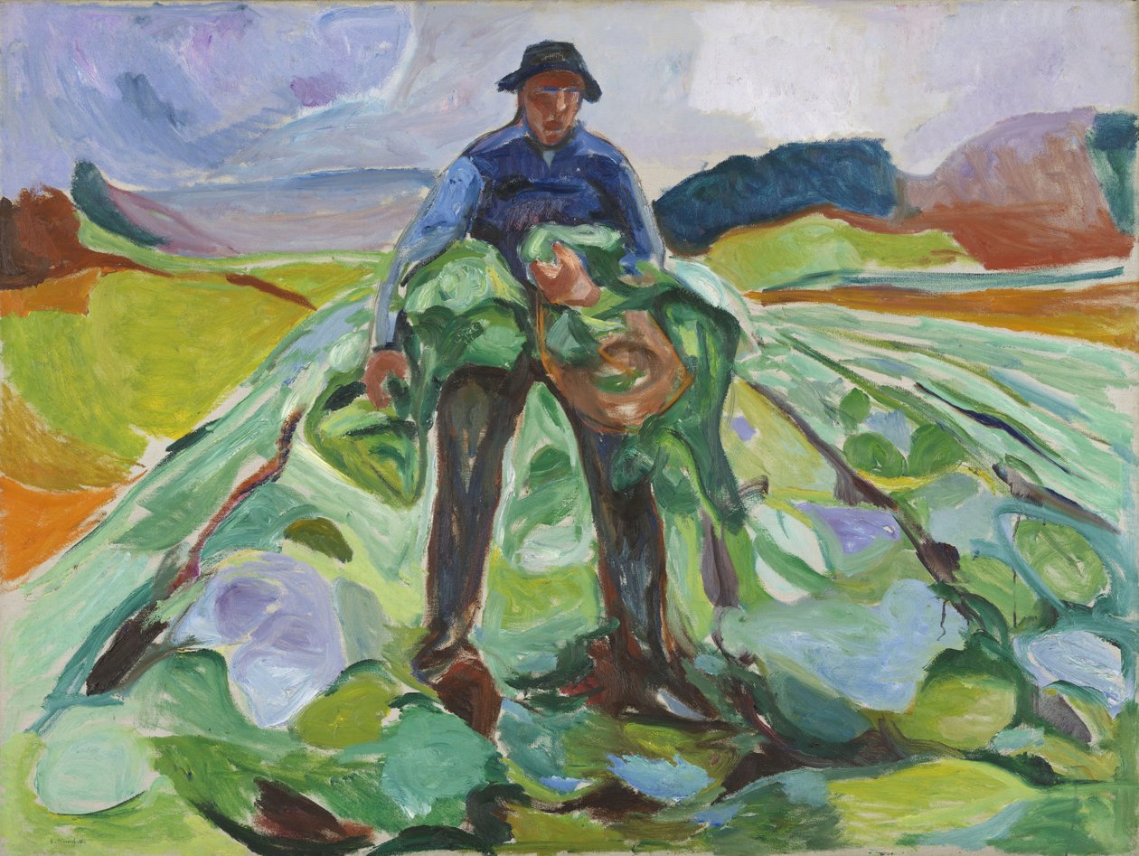 Muž v poli zelí od Edvard Munch