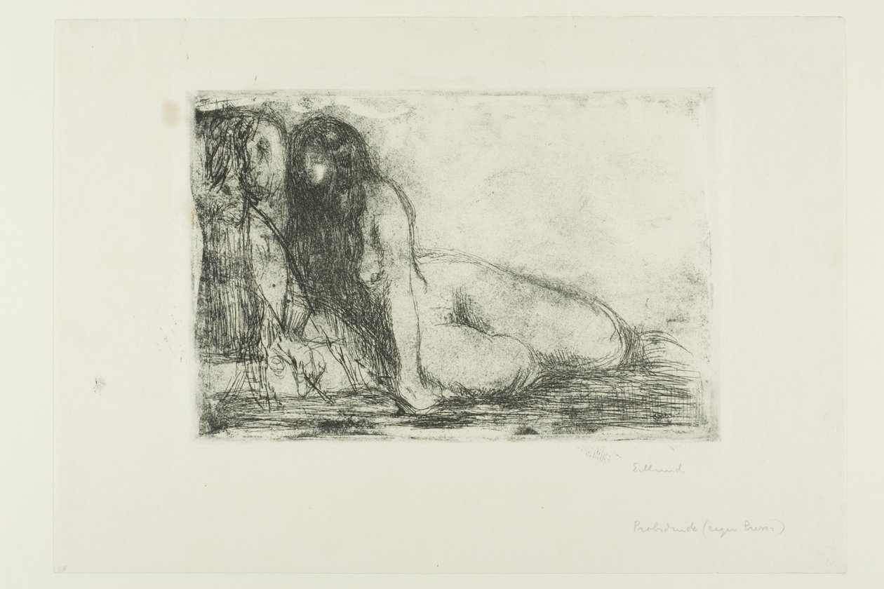Tajný od Edvard Munch